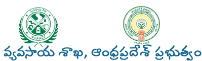 ap logo