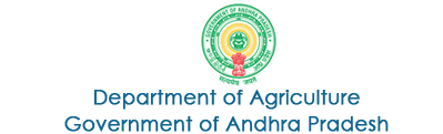 ap logo
