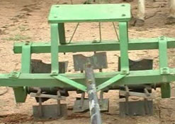 agriculture ap